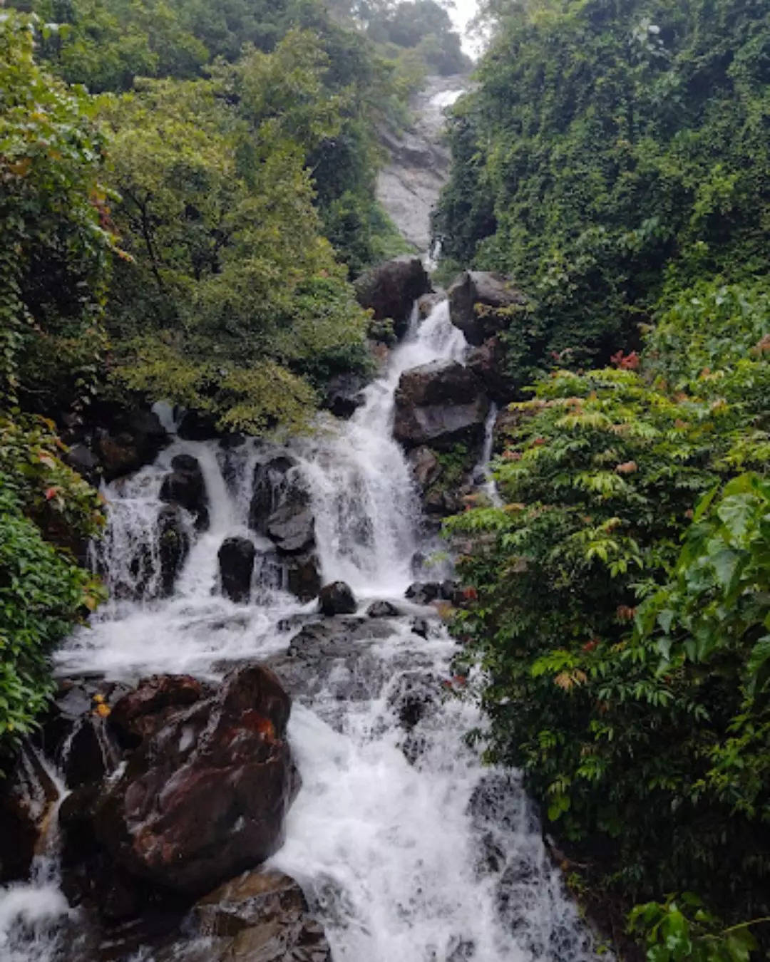 ಅಣಶಿ ಜಲಪಾತ