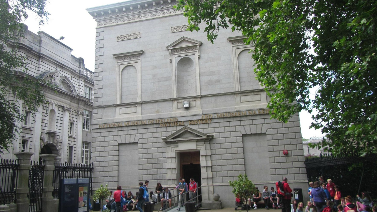 The National Museum of Ireland