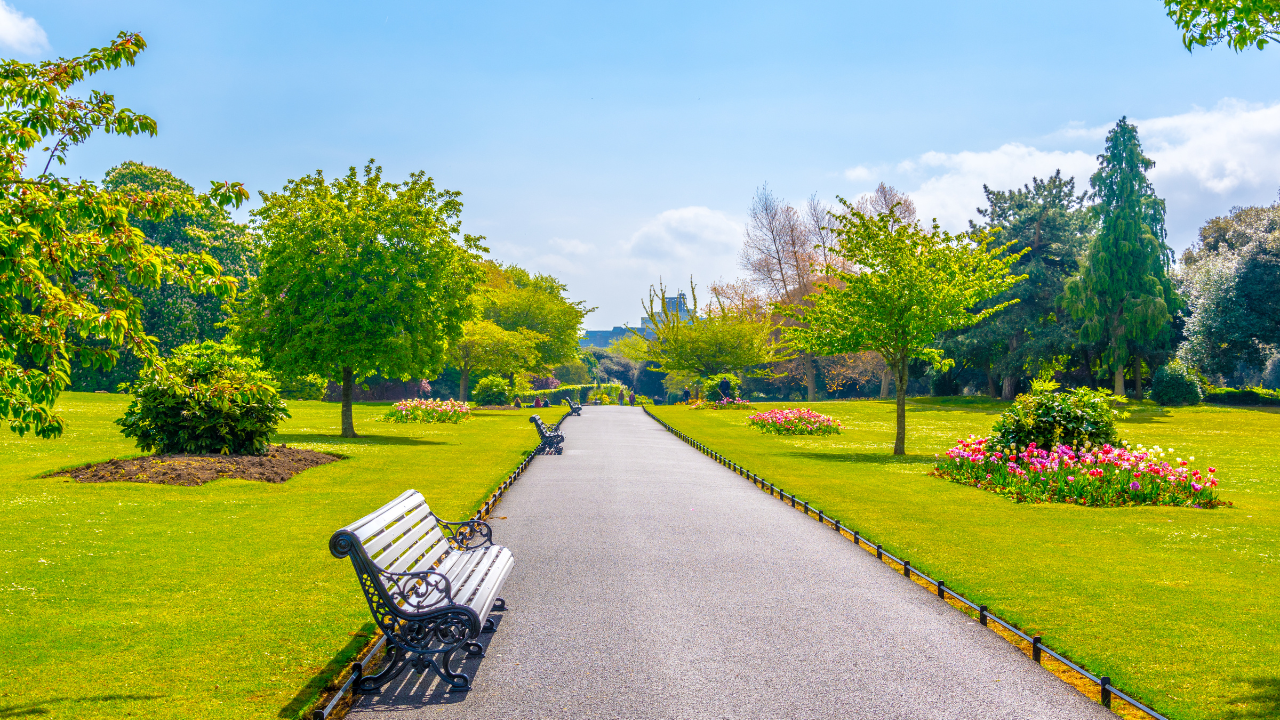 Phoenix Park