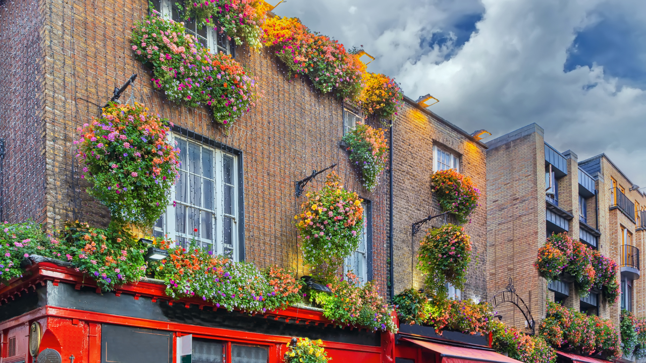 Temple Bar