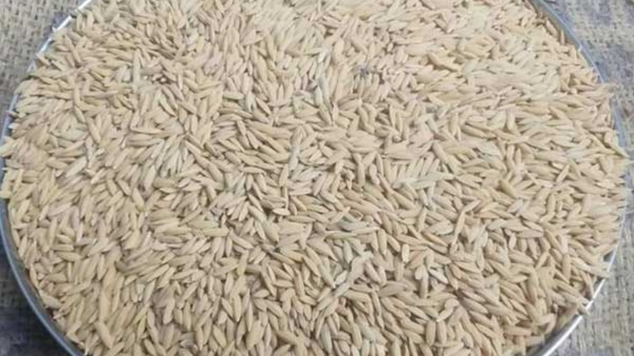 Andaman And Nicobar Islands' Coconut Oil, Musley Rice And More Get GI ...