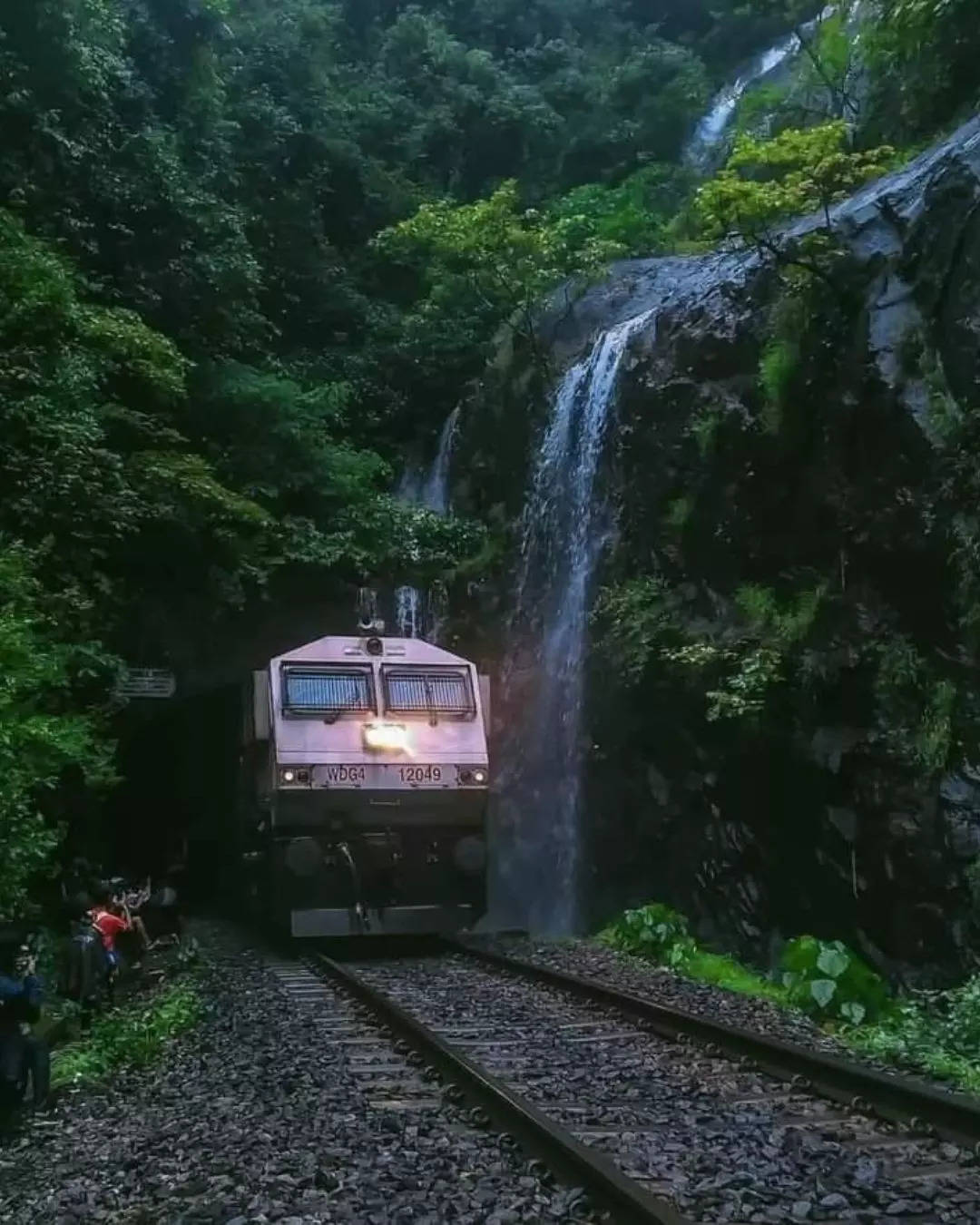 ಮೊಲ್ಲಮ್ ರಾಷ್ಟ್ರೀಯ ಉದ್ಯಾನವನ