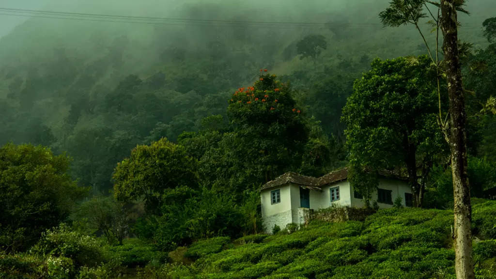 மூணார்