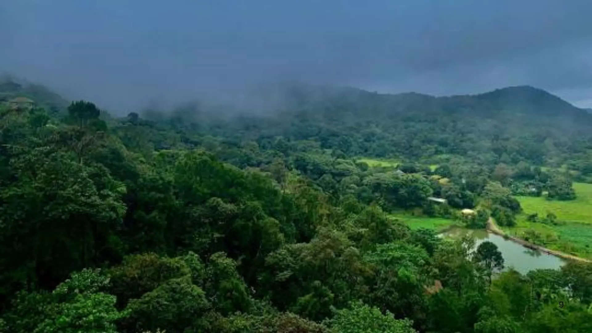 ಕೂರ್ಗ್ ಕರ್ನಾಟಕ 