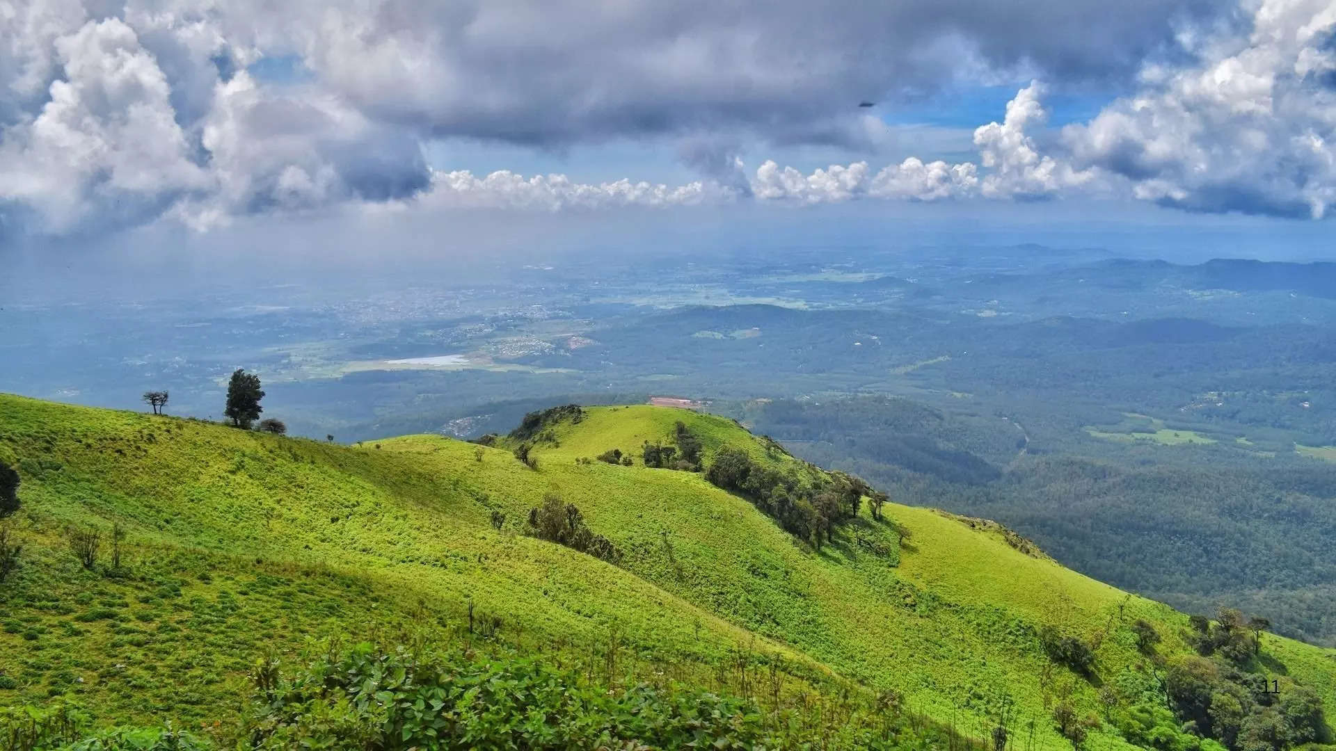 ಕೂರ್ಗ್