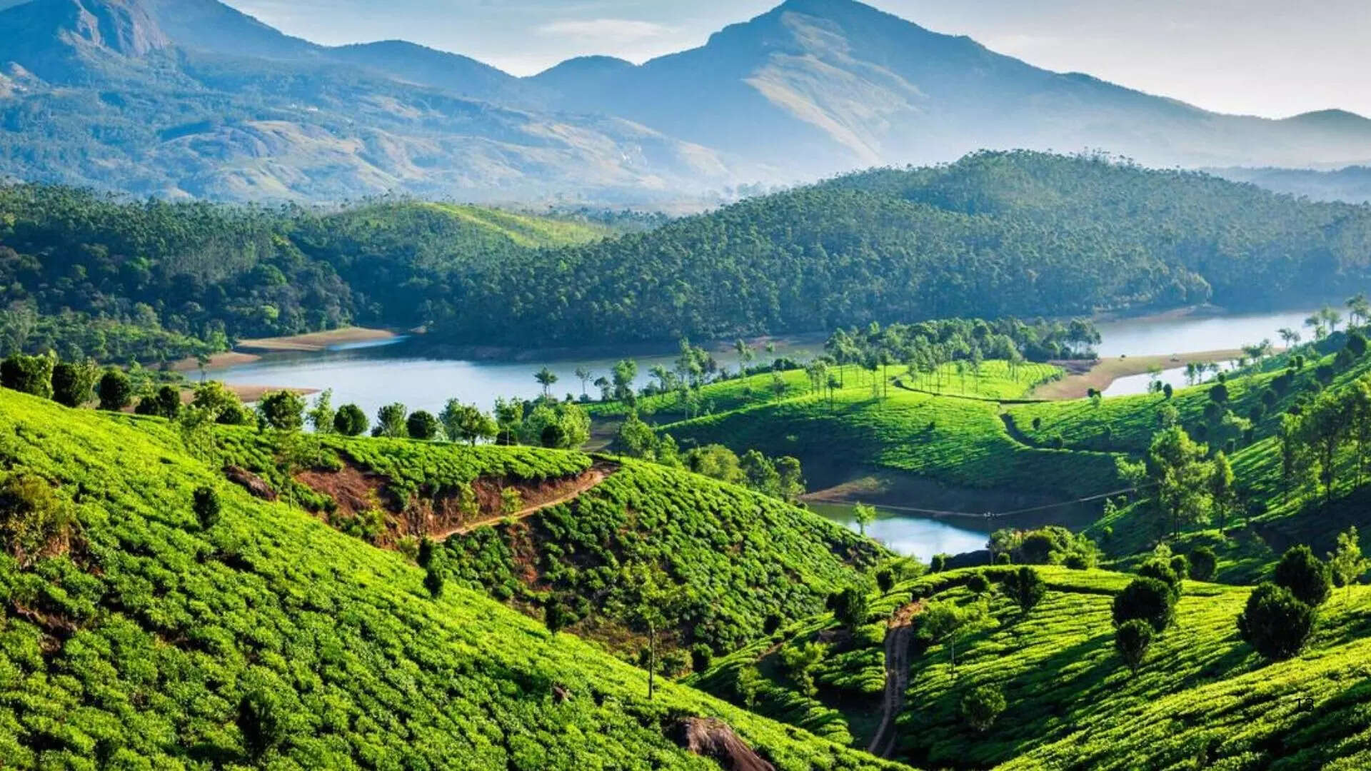 ಮುನ್ನಾರ್ನಲ್ಲಿರುವ ಚಹಾ ತೋಟಗಳಿಗೆ ಭೇಟಿ ನೀಡಿ