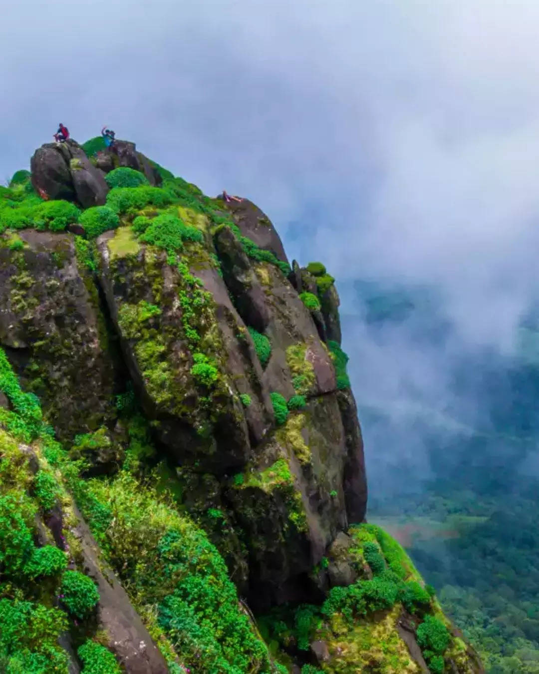 குறிஞ்சல் சிகரம் 