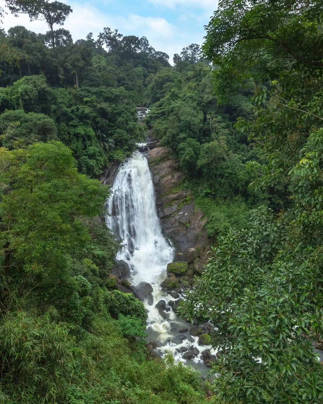 அமைதியான அருவி 