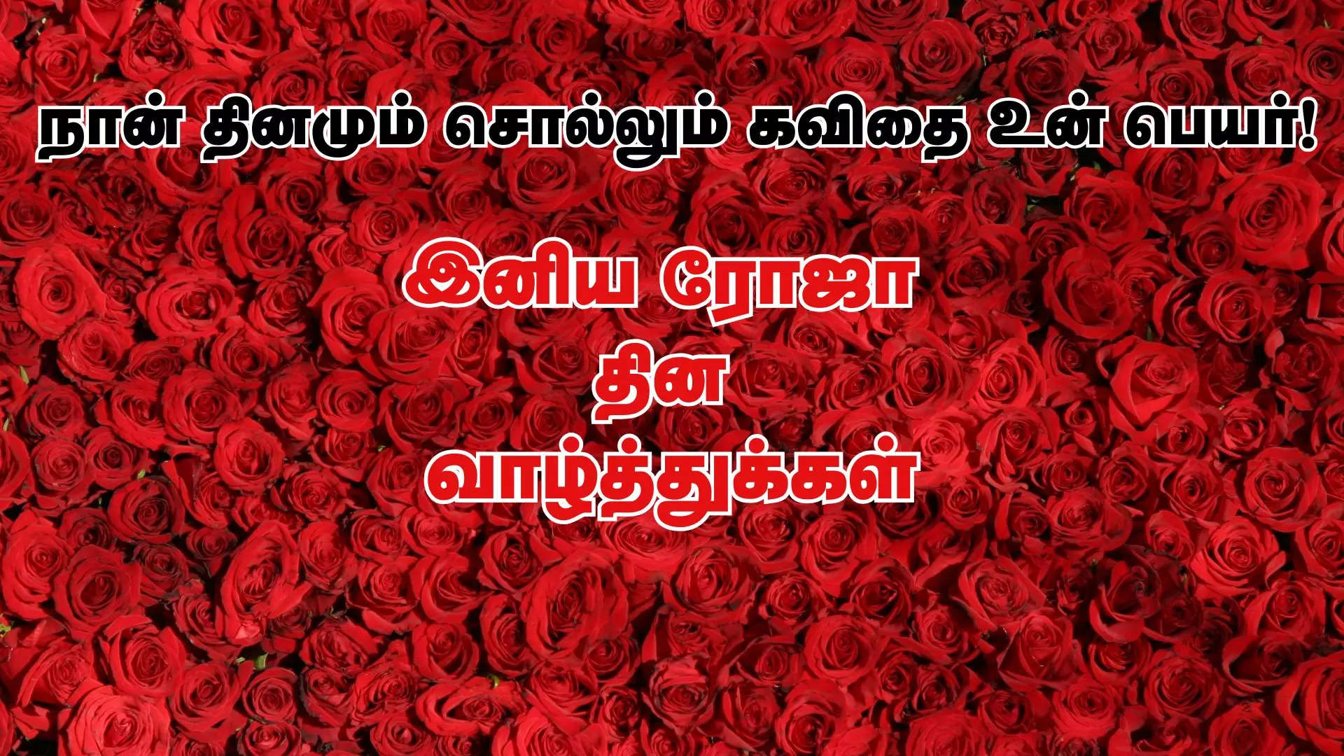 நான் தினமும் சொல்லும் கவிதை உன் பெயர் இனிய ரோஜா தினம் நல்வாழ்த்துக்கள் 2025