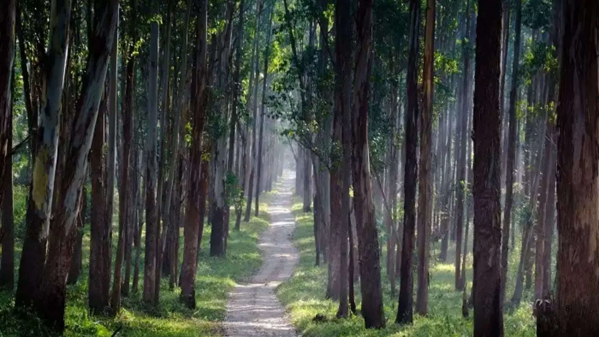 ವಯನಾಡ್