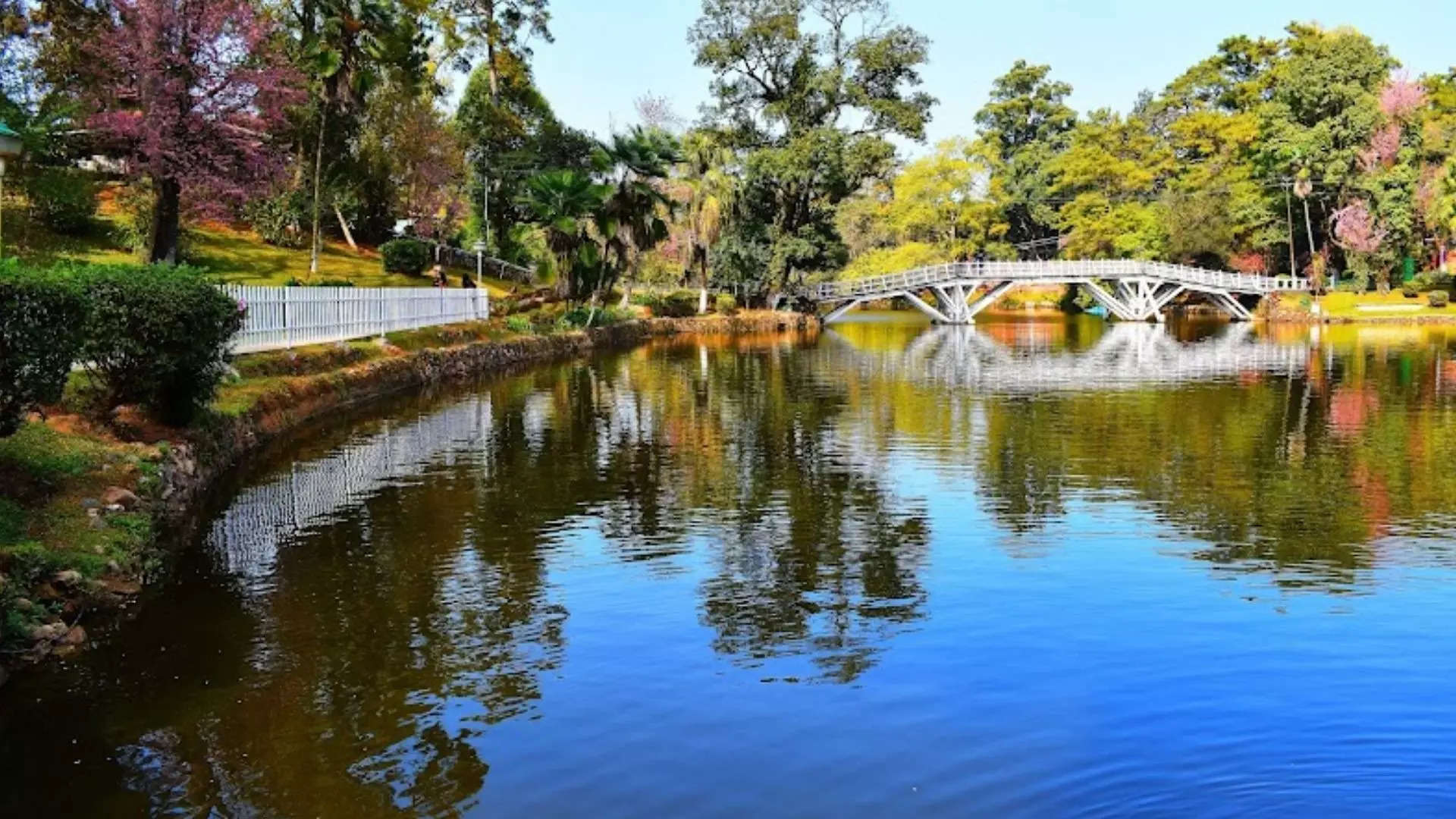 ಶಿಲ್ಲಾಂಗ್ ಮೇಘಾಲಯ  