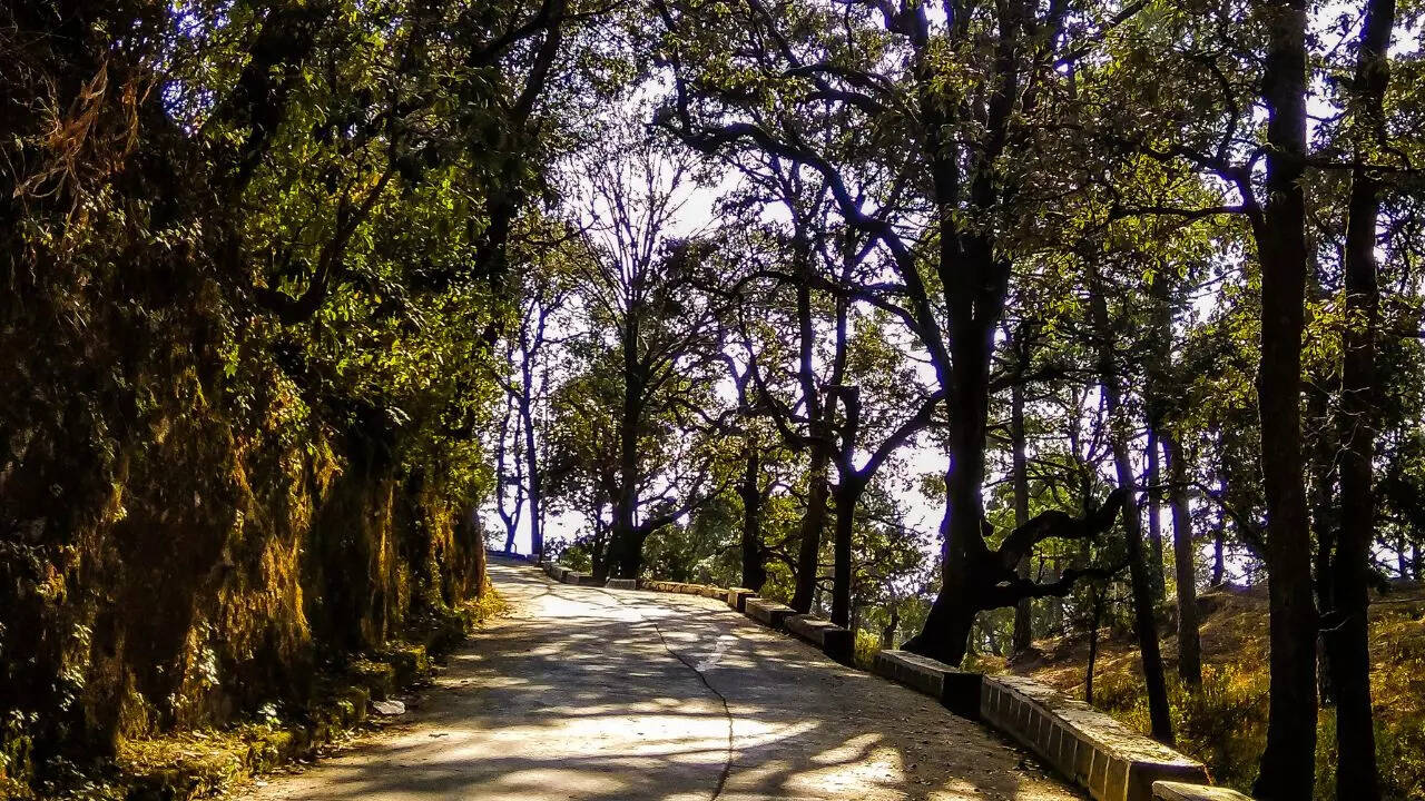 Landour Landour
