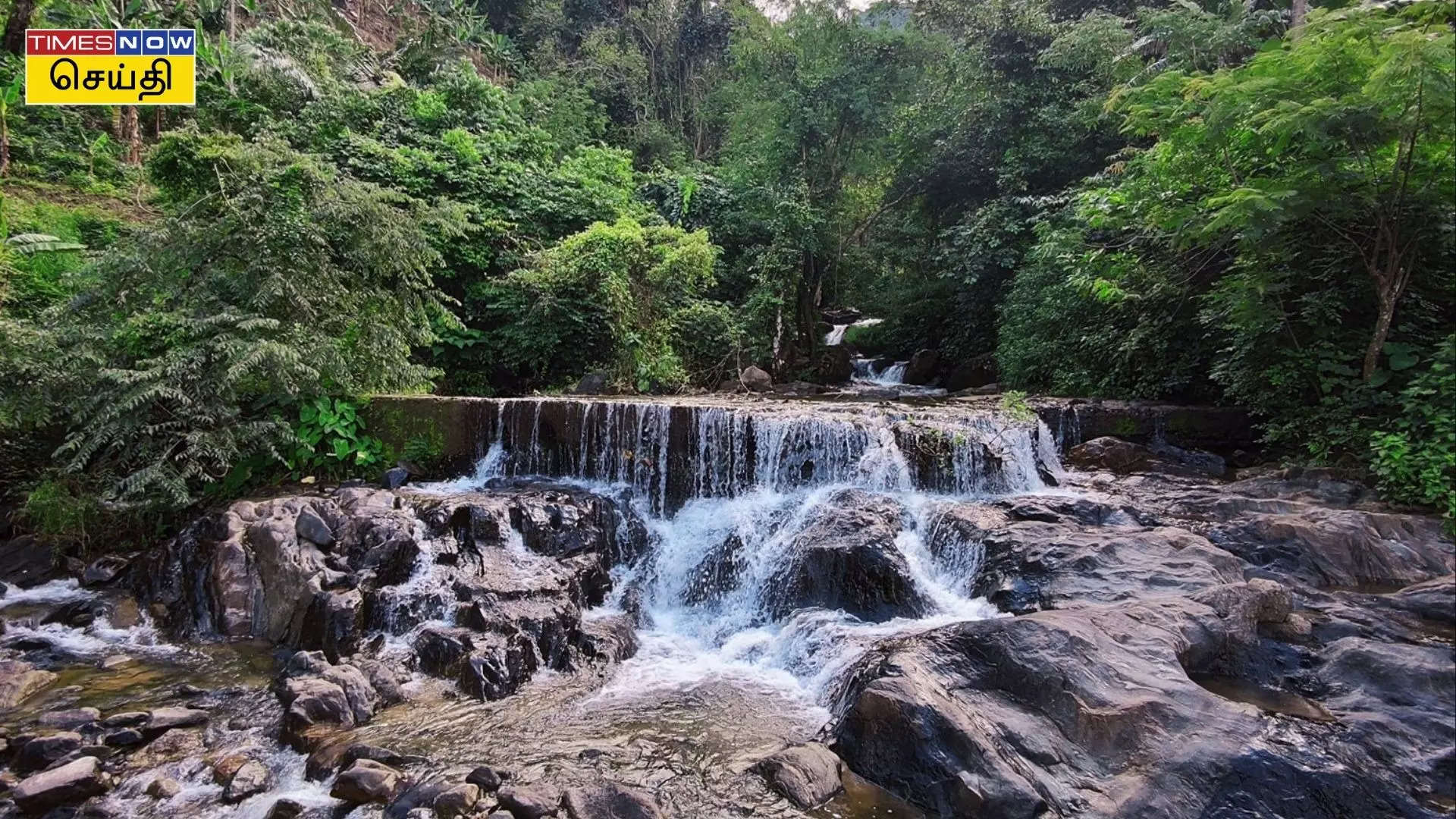 மேரி புன்சலா