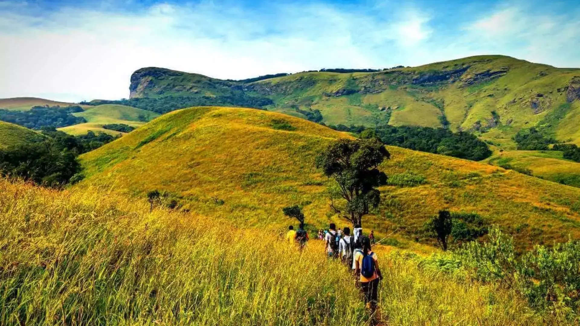 ಕುದುರೆಮುಖ ಕರ್ನಾಟಕ