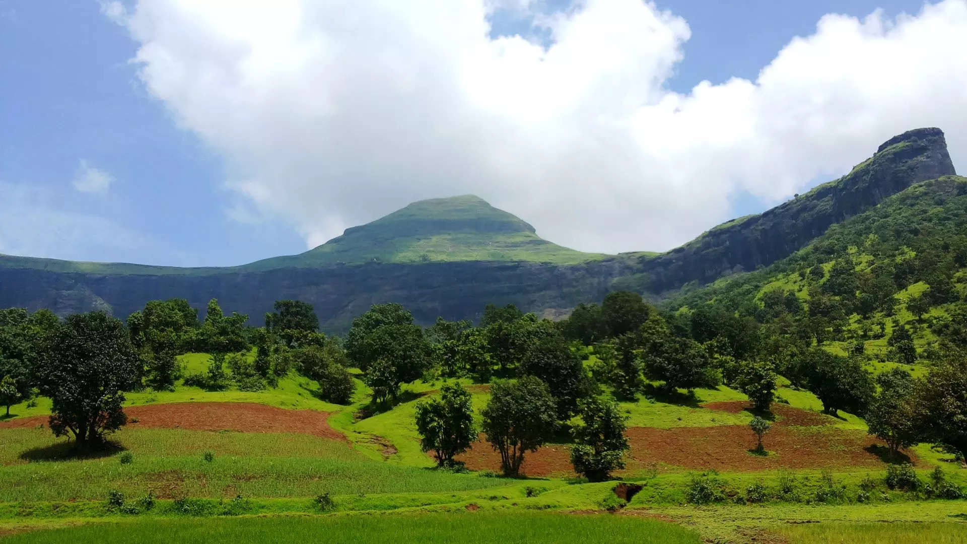 ಬ್ರಹ್ಮಗಿರಿ ಶಿಖರ