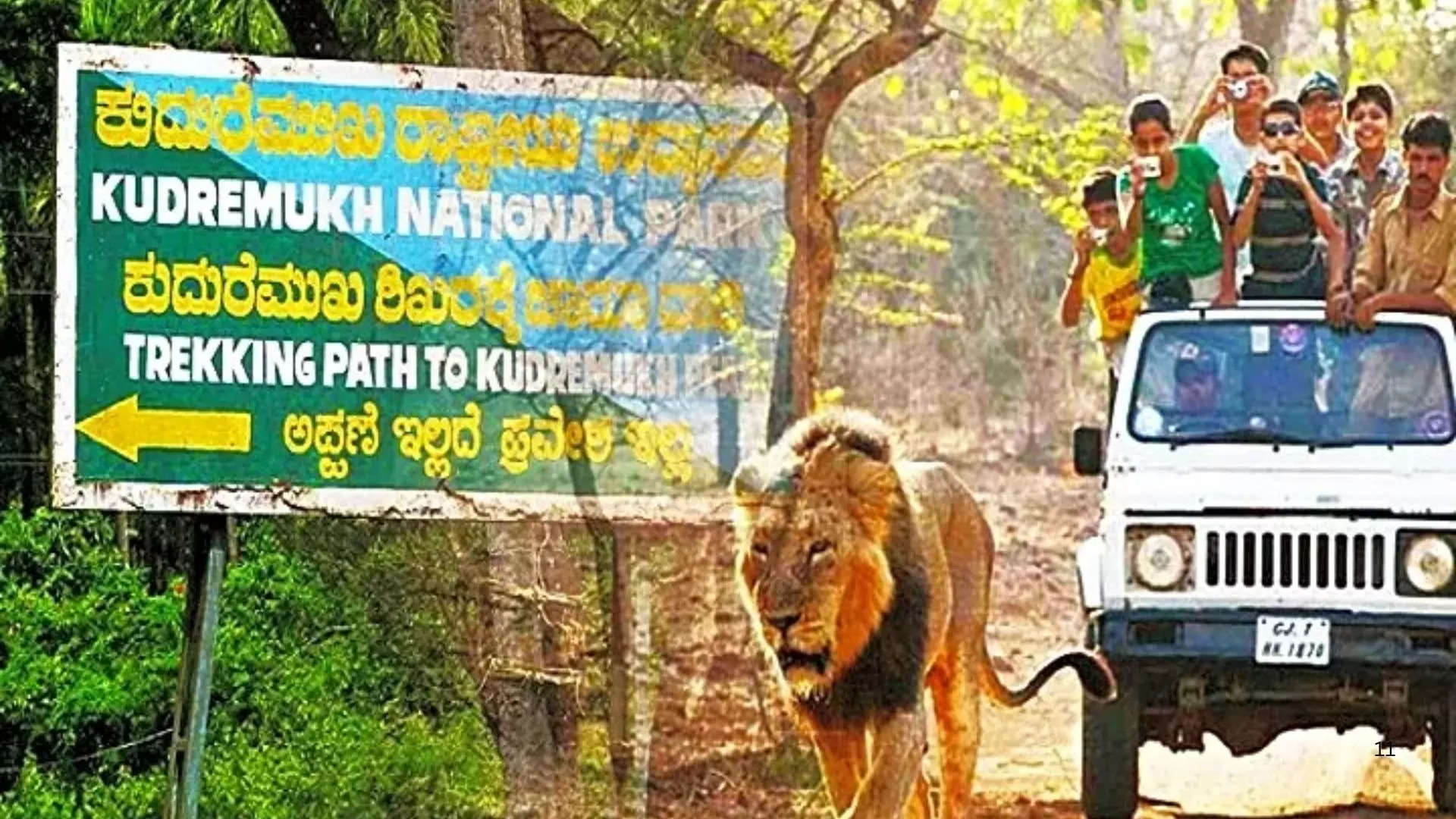 ಕುದುರೆಮುಖ ರಾಷ್ಟ್ರೀಯ ಉದ್ಯಾನವನ