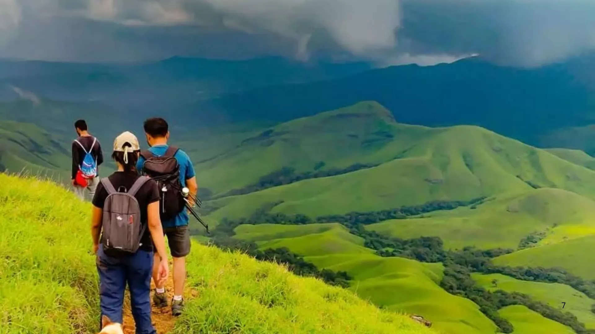 ಕುದುರೆಮುಖ ಶಿಖರ