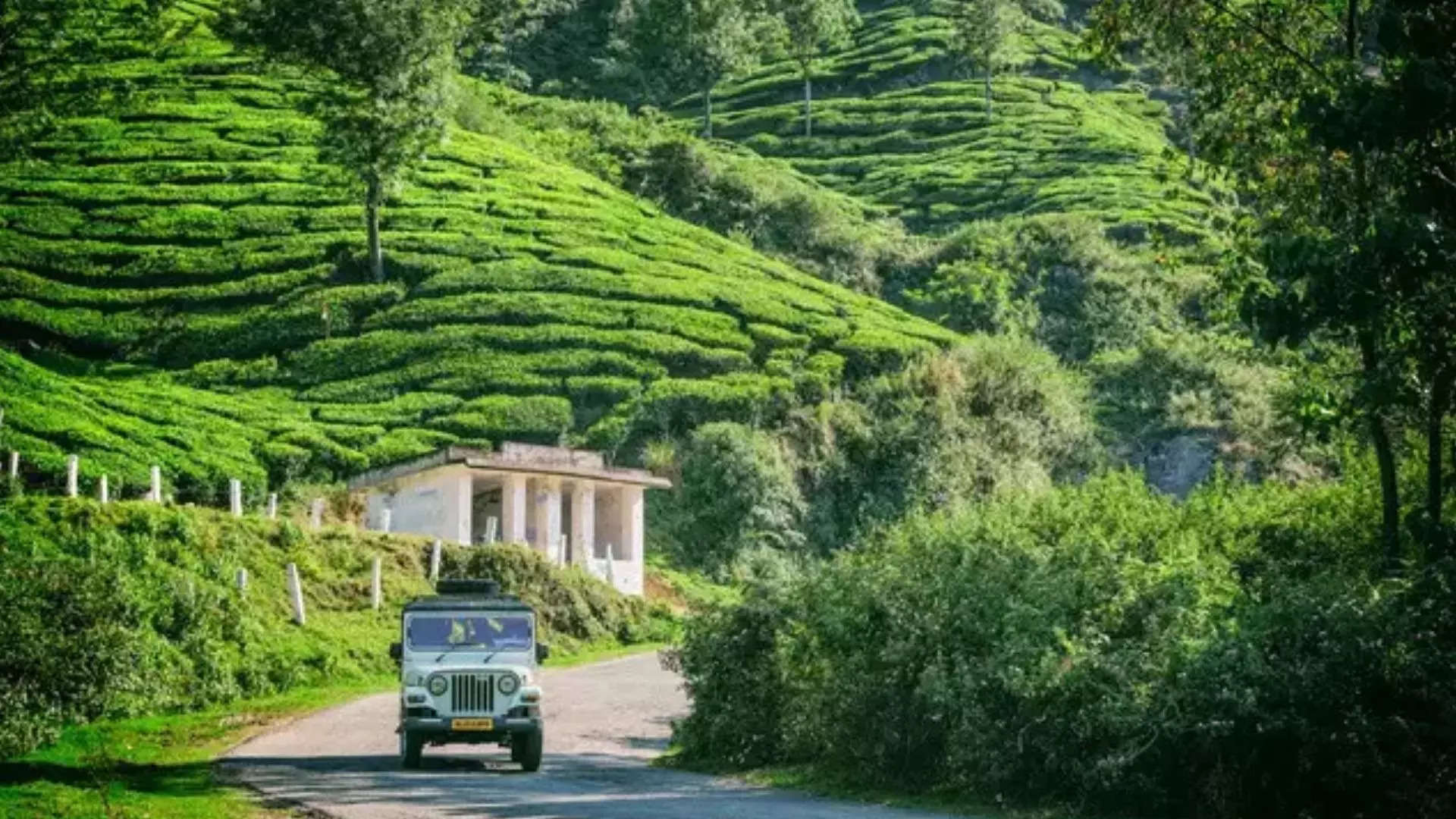 ಮುನ್ನಾರ್ ರೋಮ್ಯಾಂಟಿಕ್ ಗಿರಿಧಾಮ