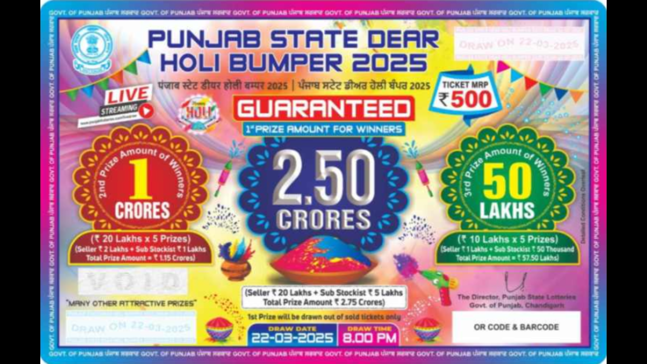 punjabi holi video