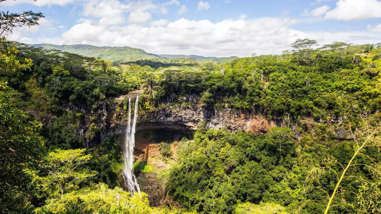 Black River Gorges National Park Credit Canva Black River Gorges National Park Credit Canva