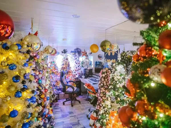 family-sets-world-record-with-444-christmas-trees-in-one-place