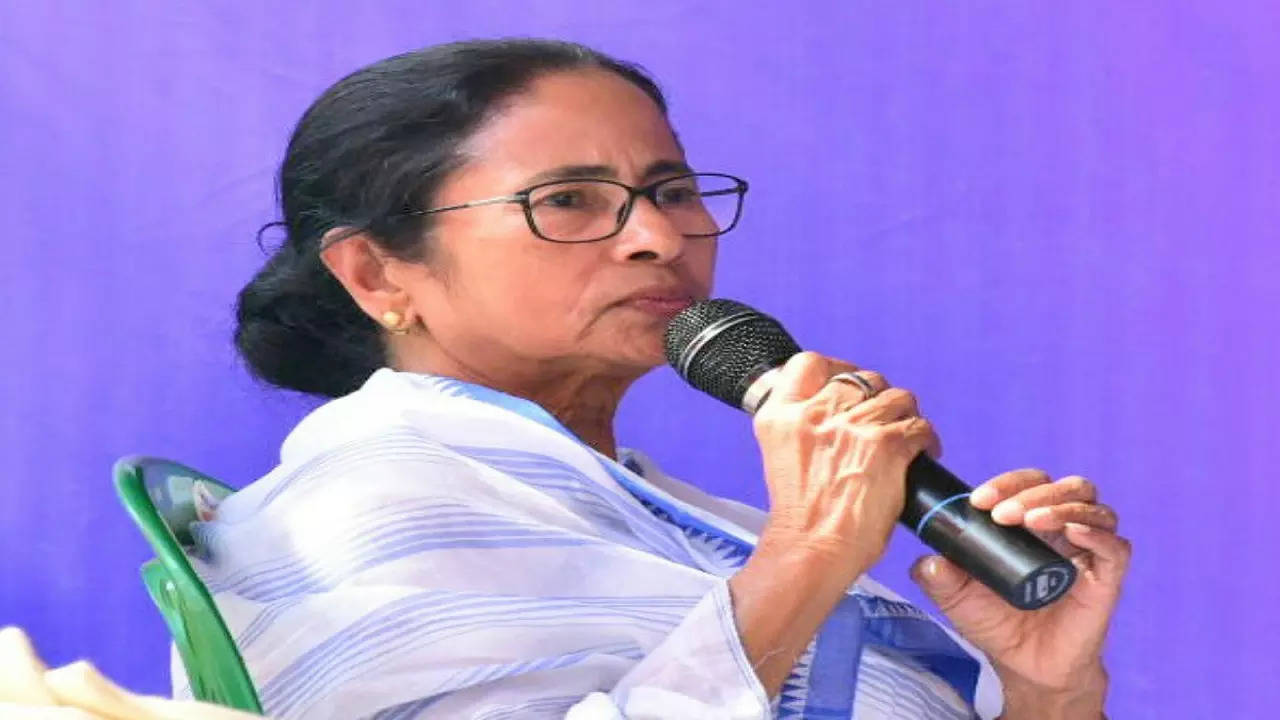 West Bengal CM Mamata Banerjee, Image courtesy: IANS