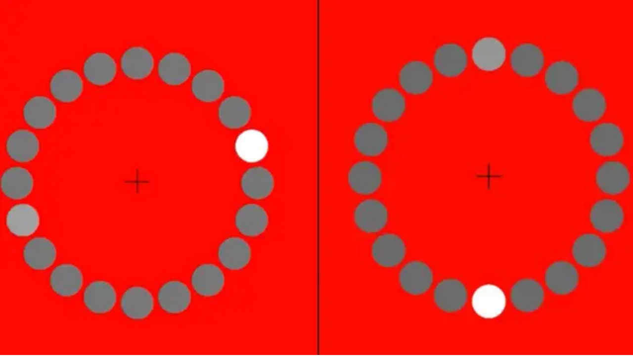 optical illusion white moving dot