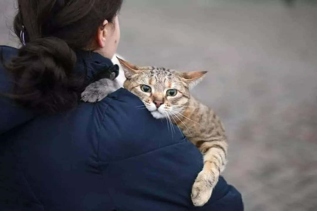 People in Ukraine are not letting go of their pets