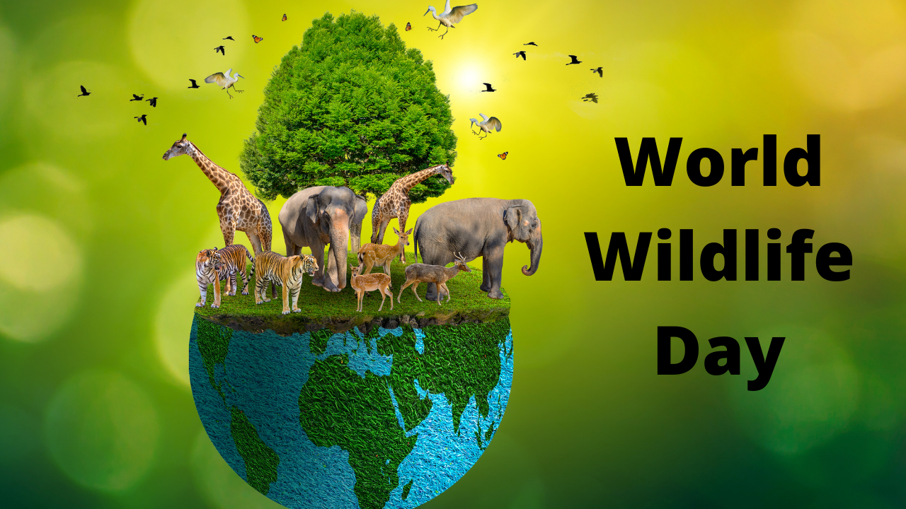 World Wildlife Day 2022: Theme, quotes and wishes to share on March 3