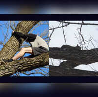 Viral video Teen, attempting to rescue cat, gets stuck in tree