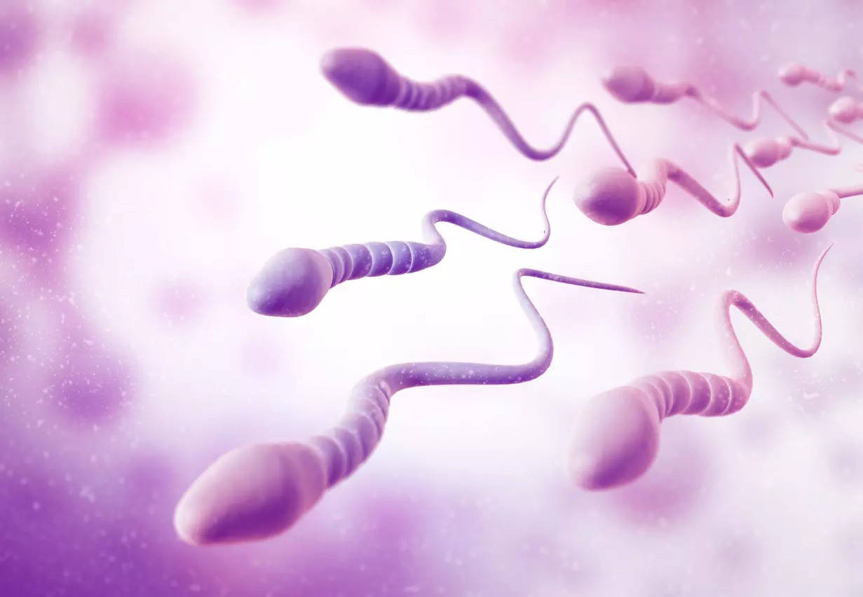 Male fertility: 5 habits that can damage the male reproductive health