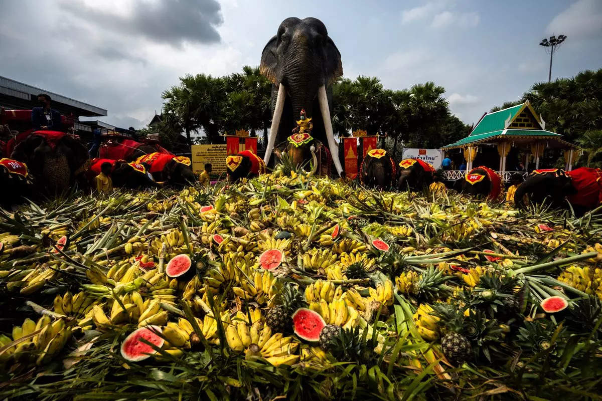 Treats laid out in the foreground as giant statue towers over feeding elephants | Image courtesy: Reuters
