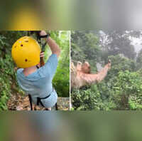 Viral video Recklessly speeding kid hits sloth on zip line; netizens