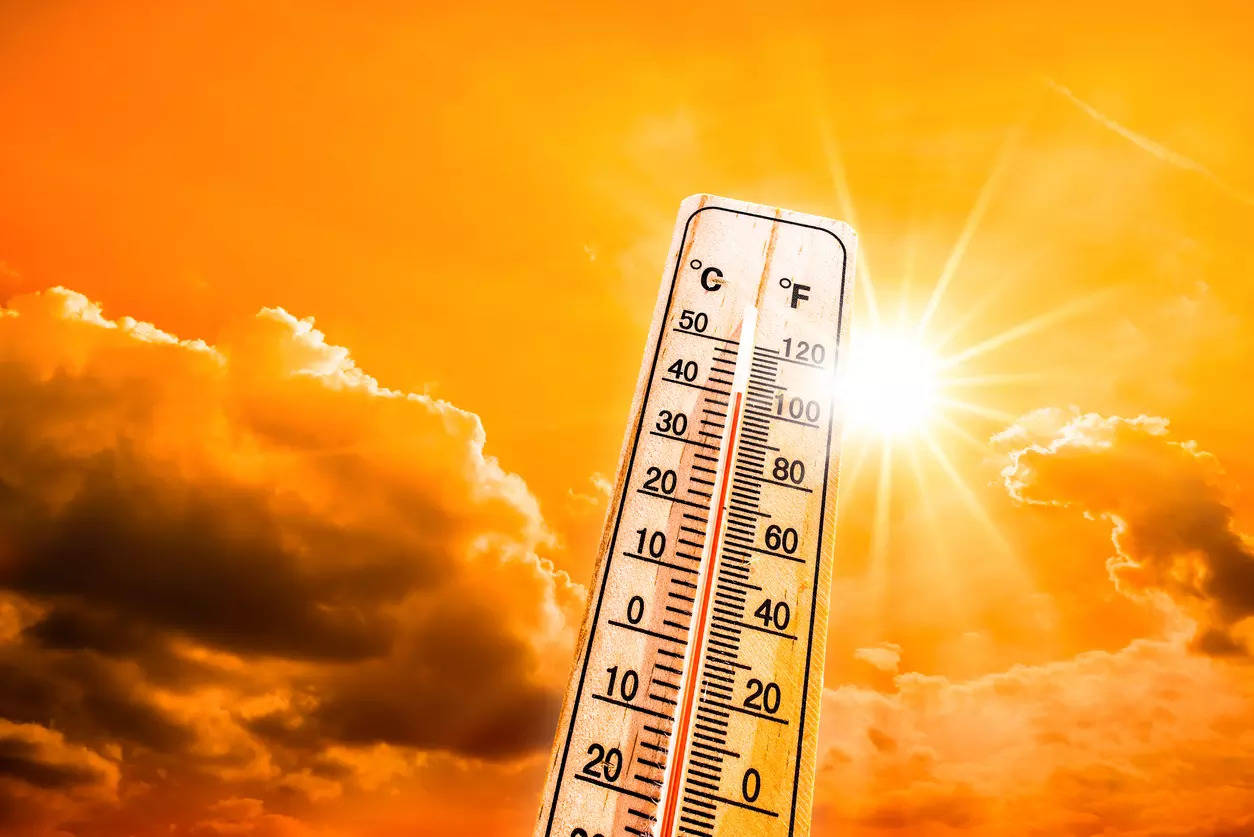 IMD issues heatwave warning - Tips to stay safe from the extreme heat