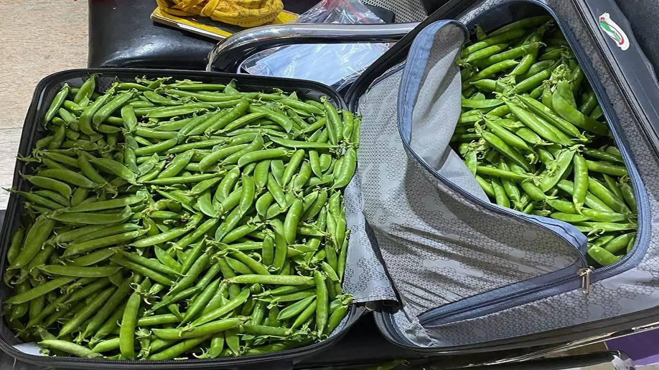 IPS officer Arun Bothra's bag found stashed with peas