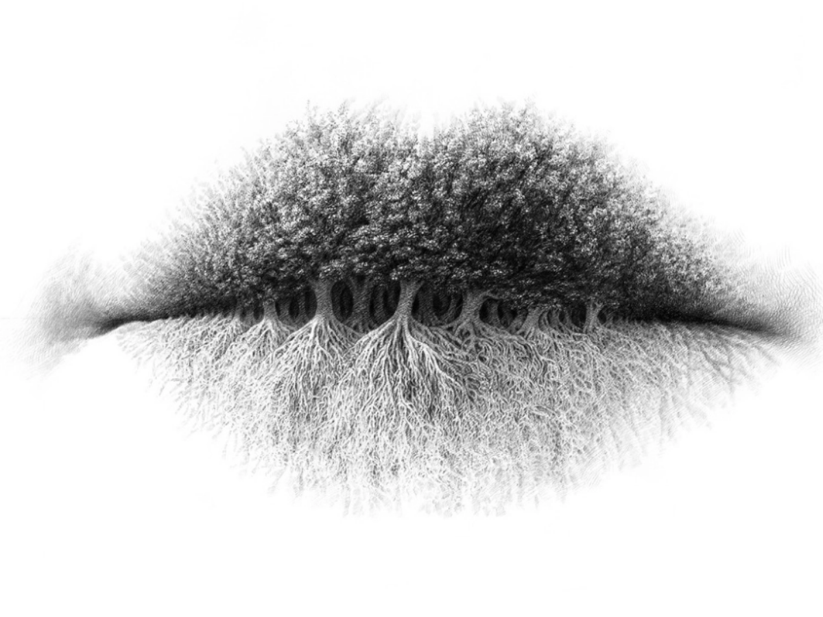 Optical illusion - What do you see? Trees, roots or lips?