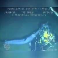 Viral video The terrifying moment a deep sea diver was attacked by a