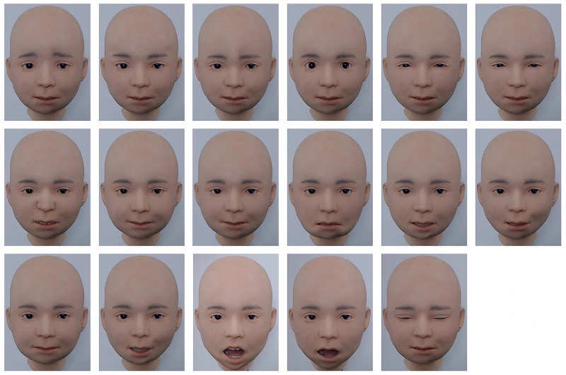 Researchers conducted a test to see if people could identify Nikola's expressions | Image courtesy: Riken