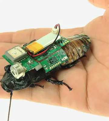 Robot cockroach