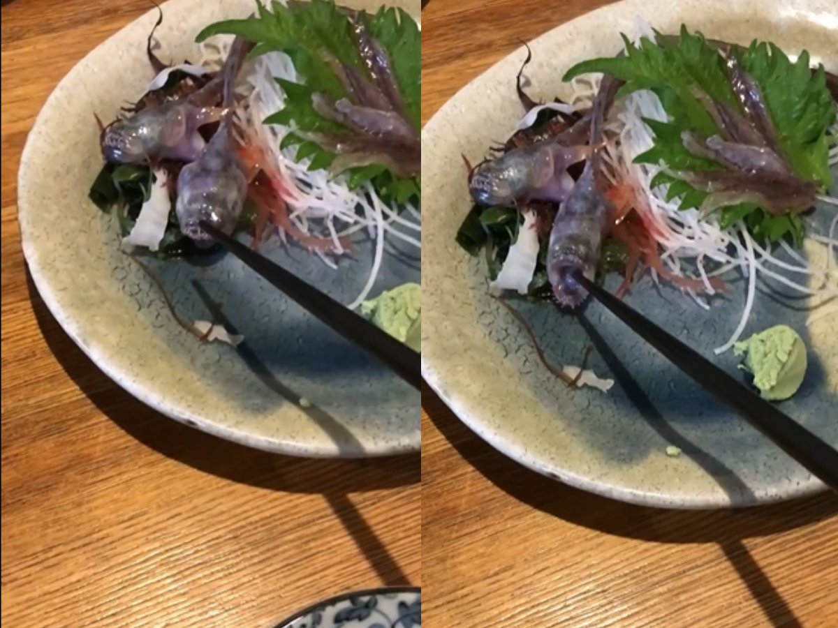Fish served on plate opens mouth