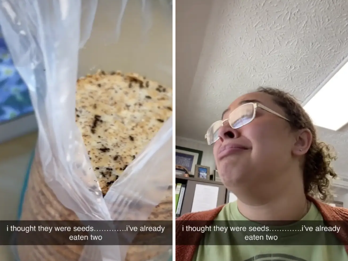 Woman mistakenly eats a biscuit covered with ants as a seed clip 20 million views