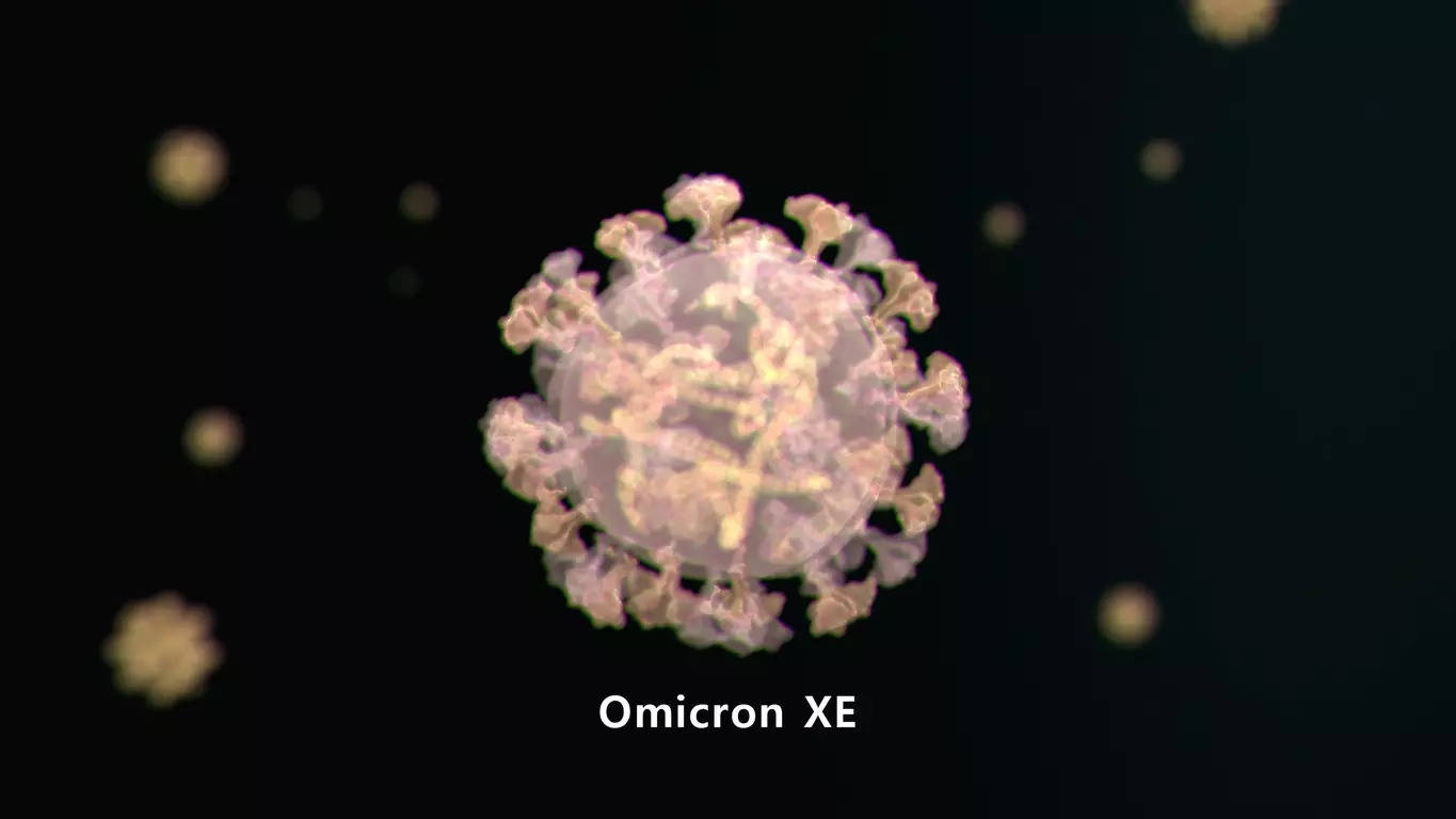 Omicron XE variant - the recombinant strain of BA.1 and BA.2