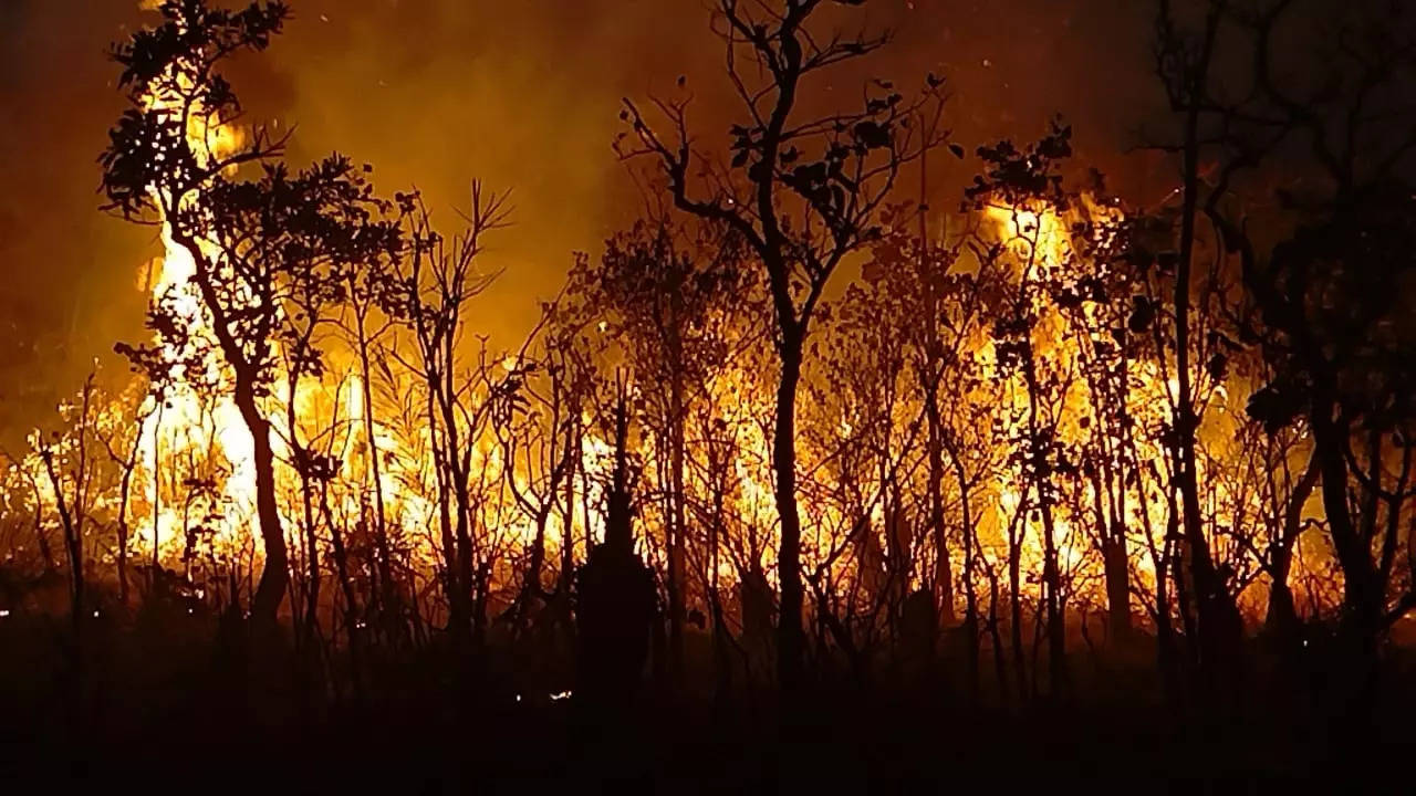 Fire breaks out in Andhra Pradesh's Tirumala forests