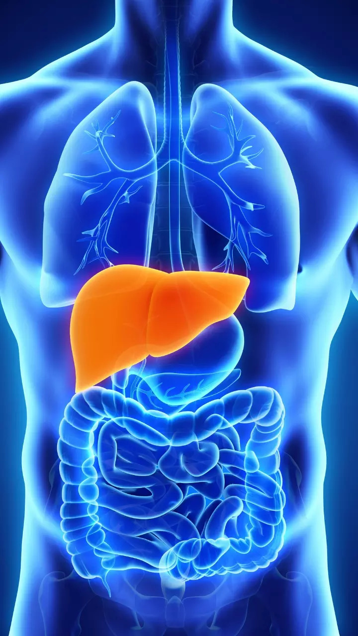 What can damage your liver