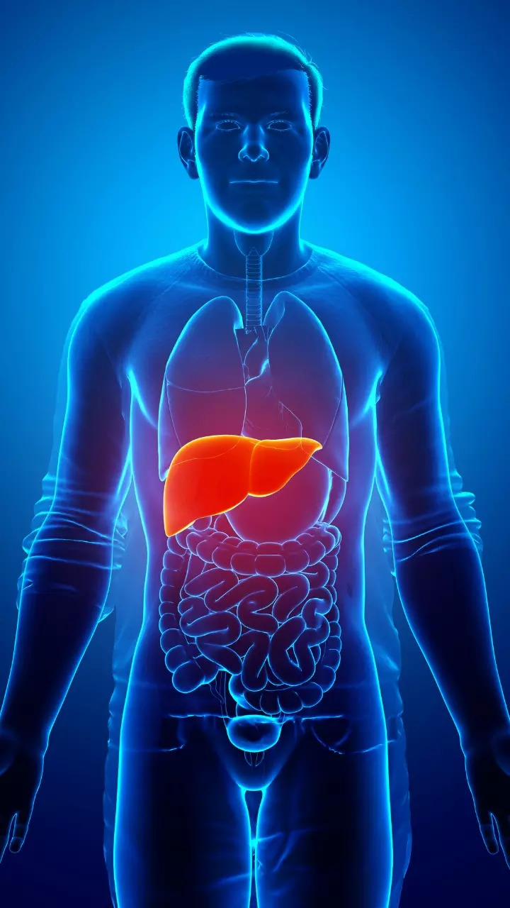 Liver health Dos and Donts to prevent damage