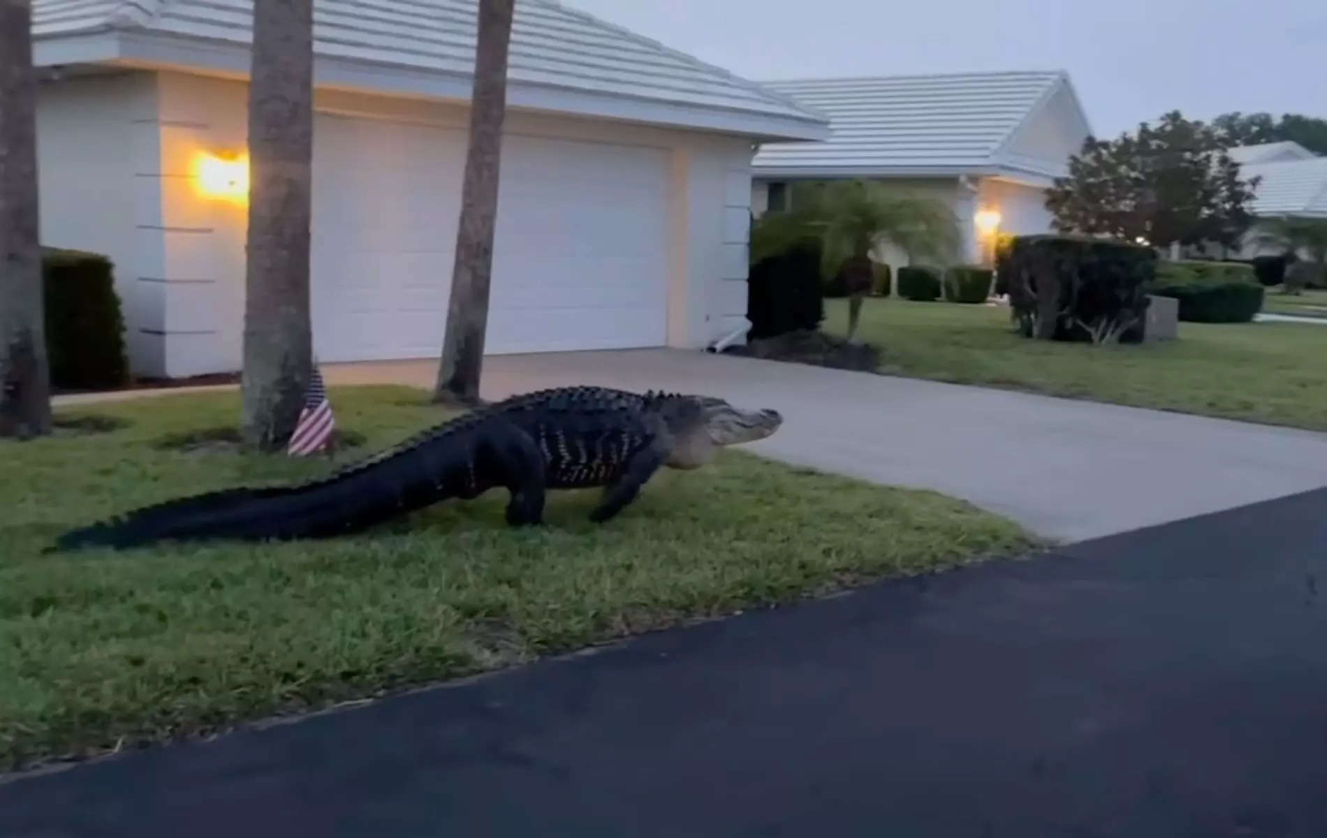 Screengrab from the video shared by Sarasota County Sheriff's Office
