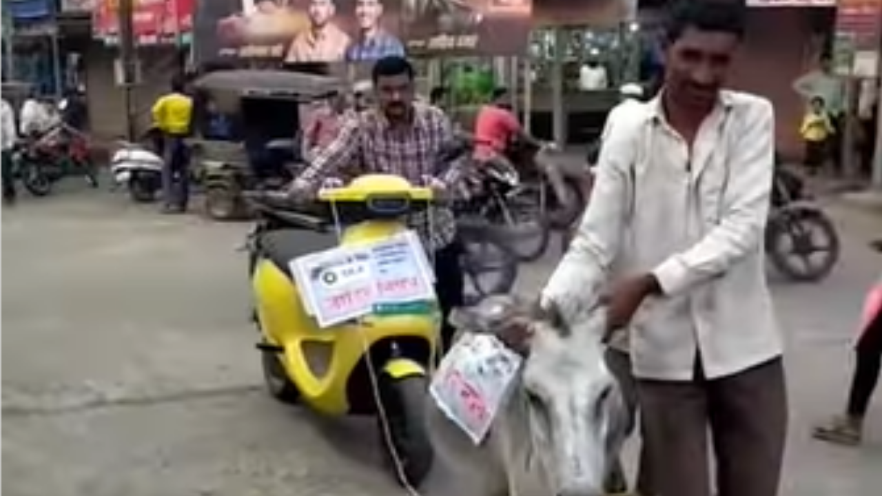 Maharashtra man ties Ola scooter to donkey, parades it around town