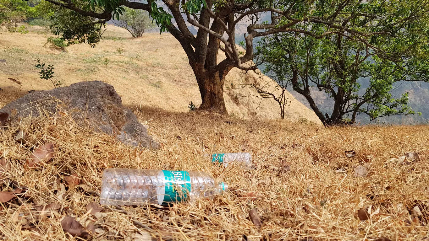 Telangana: Amrabad Tiger Reserve dealing with plastic waste in a sustainable manner