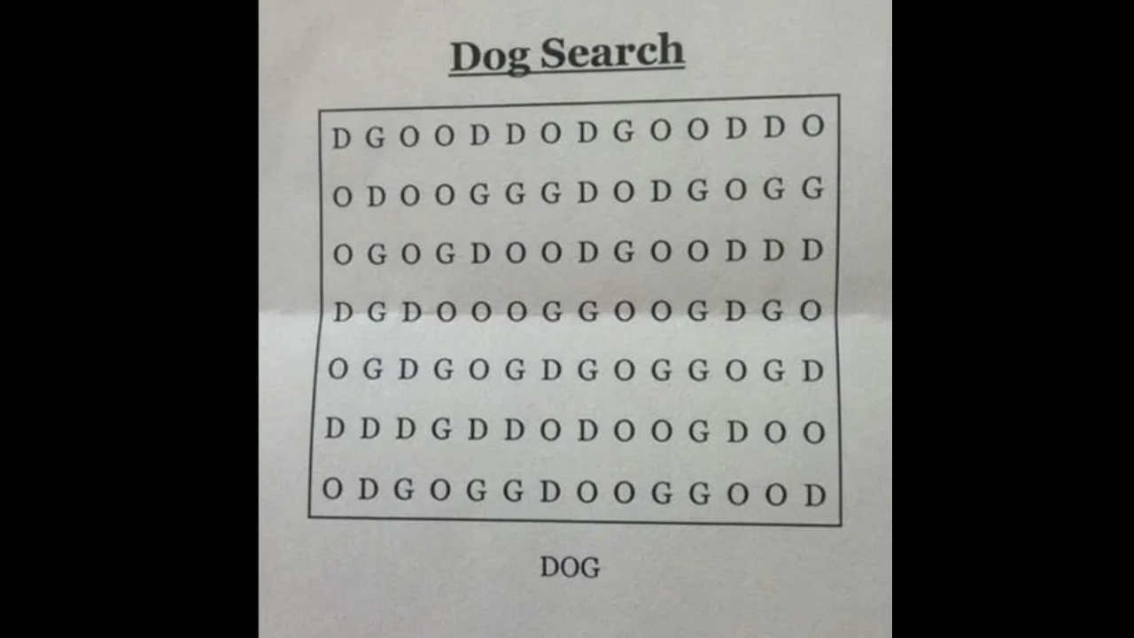 Dog word search| Can you spot 'dog' in the 'hardest word search ever'?