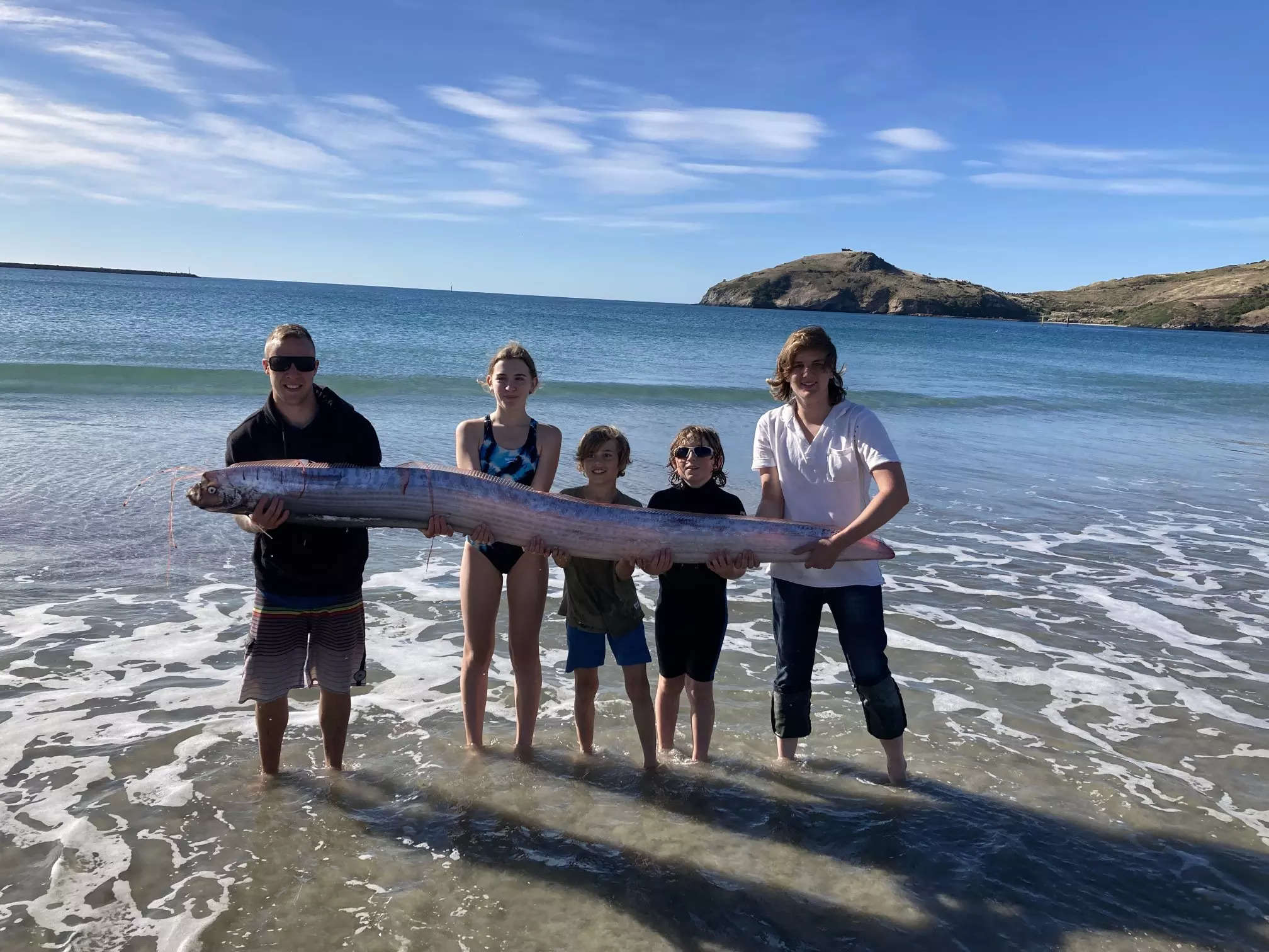 Viral video Super rare snake-like creature washed up on New Zealand beach took five people to hold it